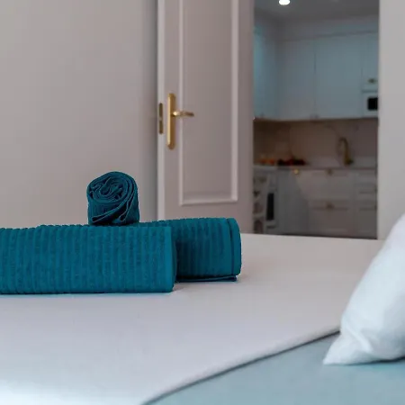 Suitur Milenium Playa Venus *