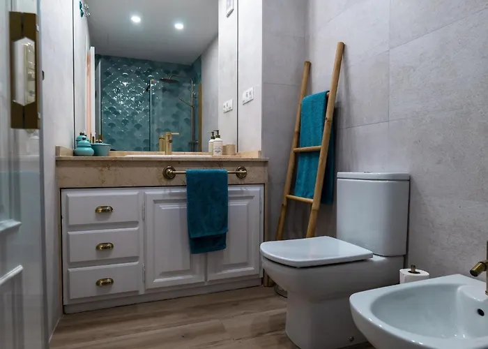 Suitur Milenium Playa Venus *